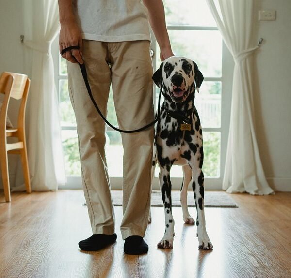 caller behavior assessment with alerts